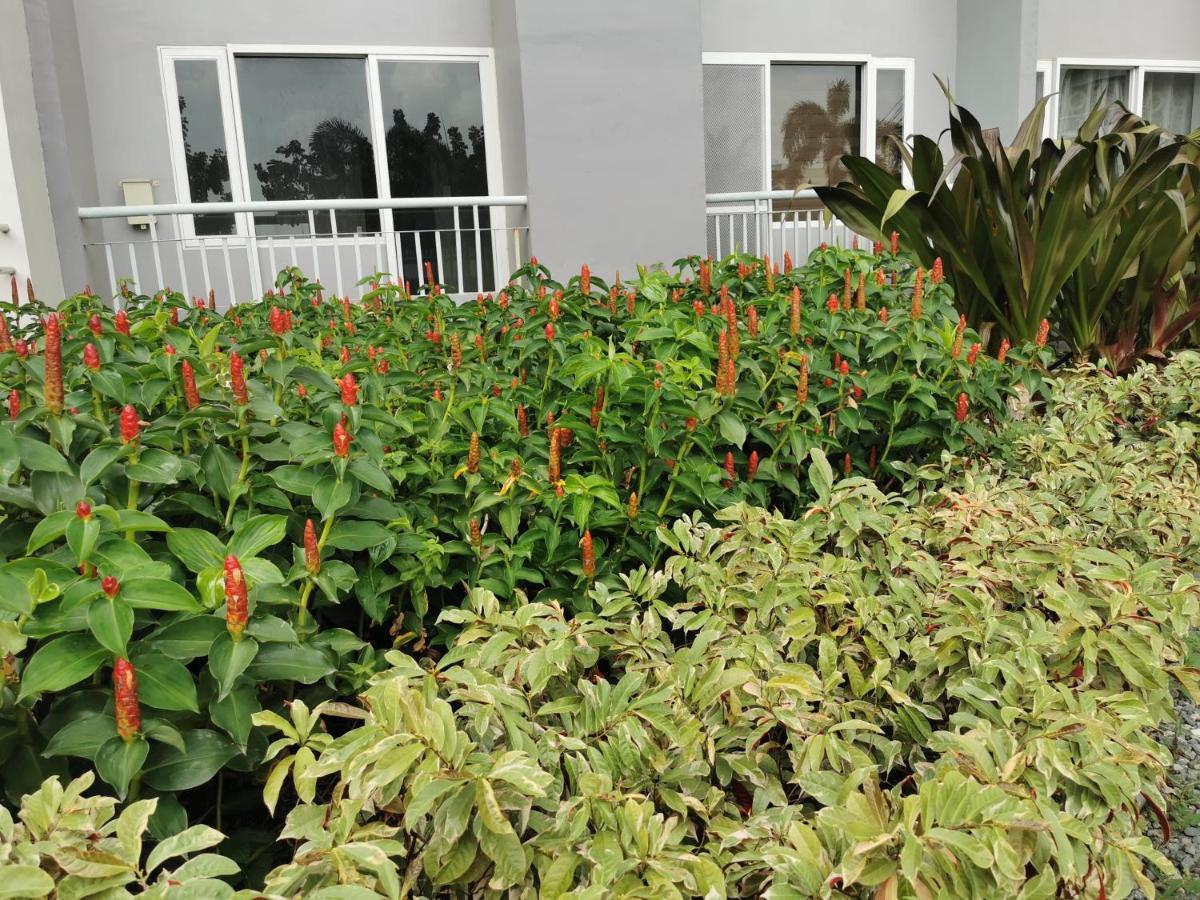 Apartment Lot's Pad Nr Bgc *